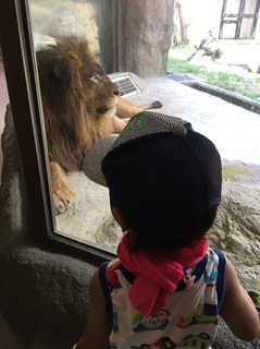 日本平動物園3.JPG